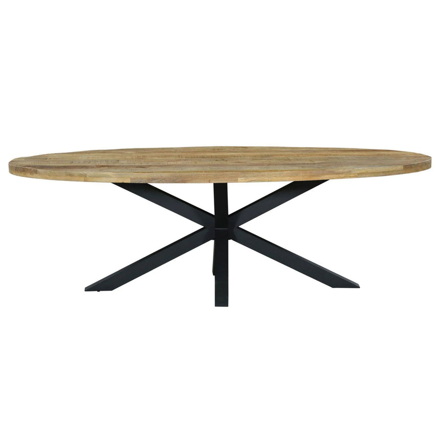 Marine 10 Seater Mango Wood Industrial Oval Dining Table with Black Spider Legs