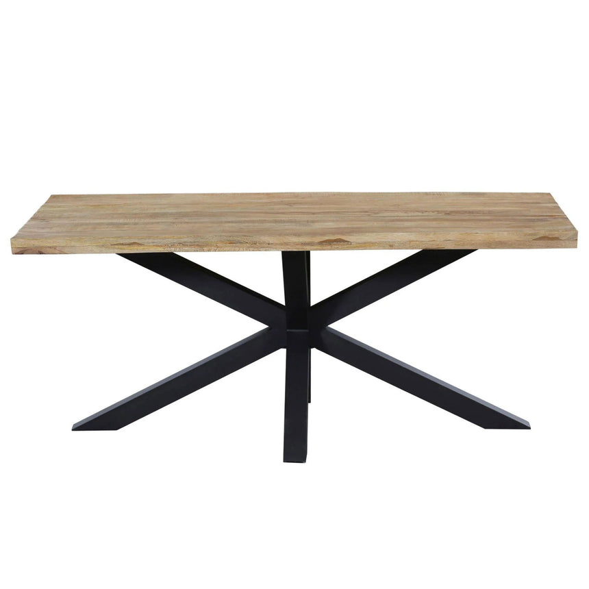 Marine 10 Seater Mango Wood Industrial Dining Table with Black Spider Legs