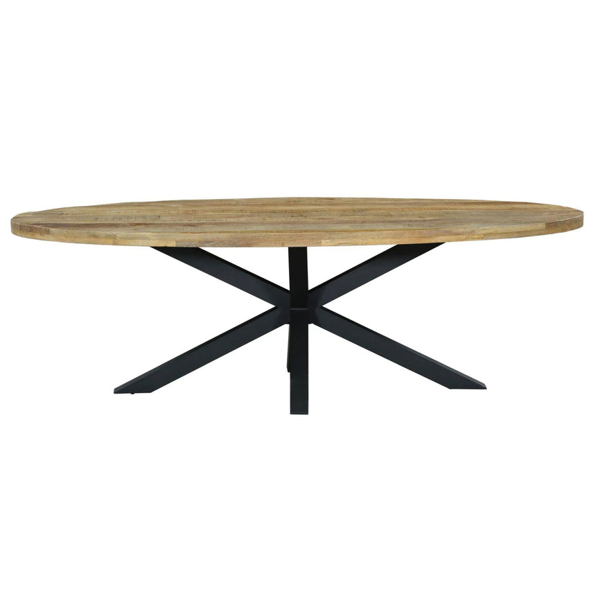 Marine 12 Seater Mango Wood Industrial Oval Dining Table with Black Spider Legs