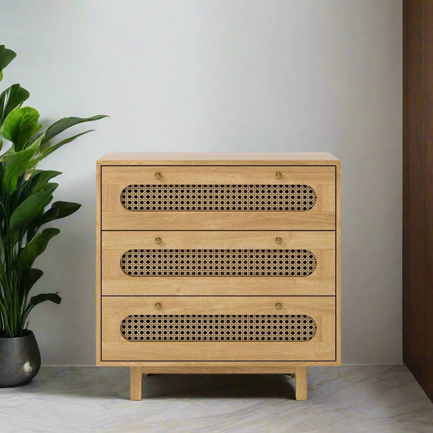 Canosa Wood and Rattan 3 Drawer Small Chest